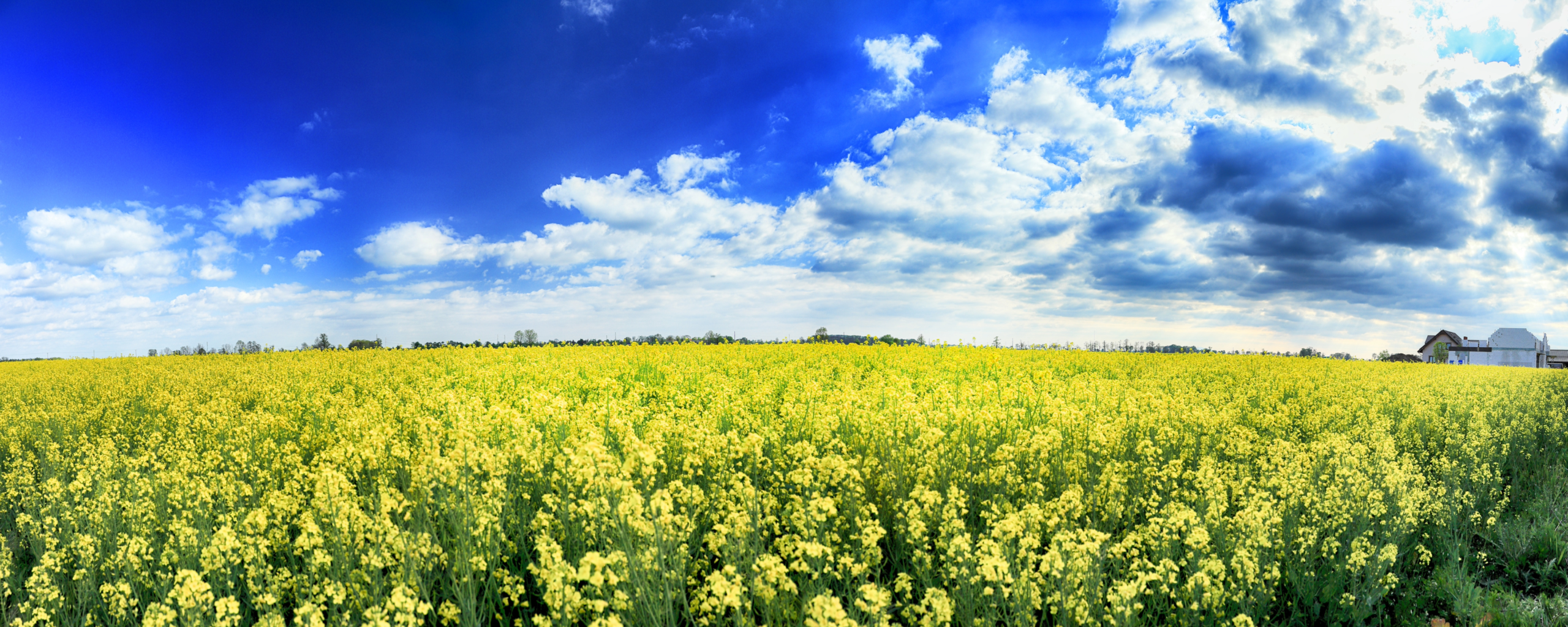 parallax background